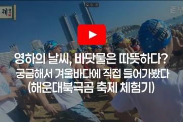 첨부이미지